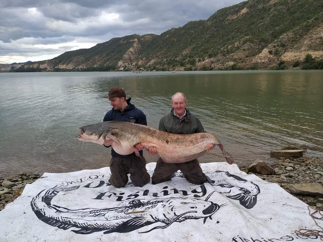 Mequinenza Dream Fishing - Booking Info for Catfish and Carp Tours